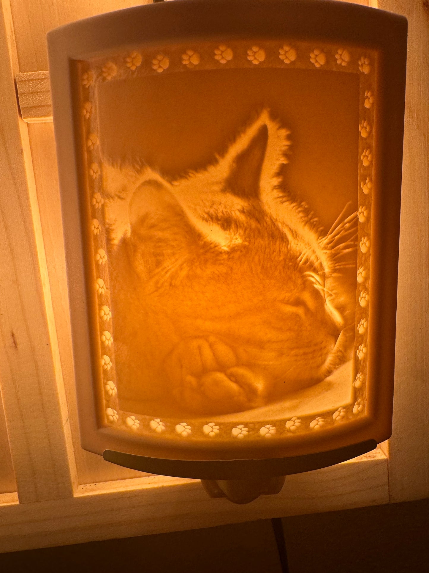 Porcelain Nightlights