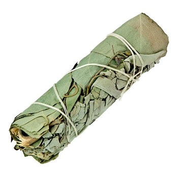 Eucalyptus Smudge Stick
