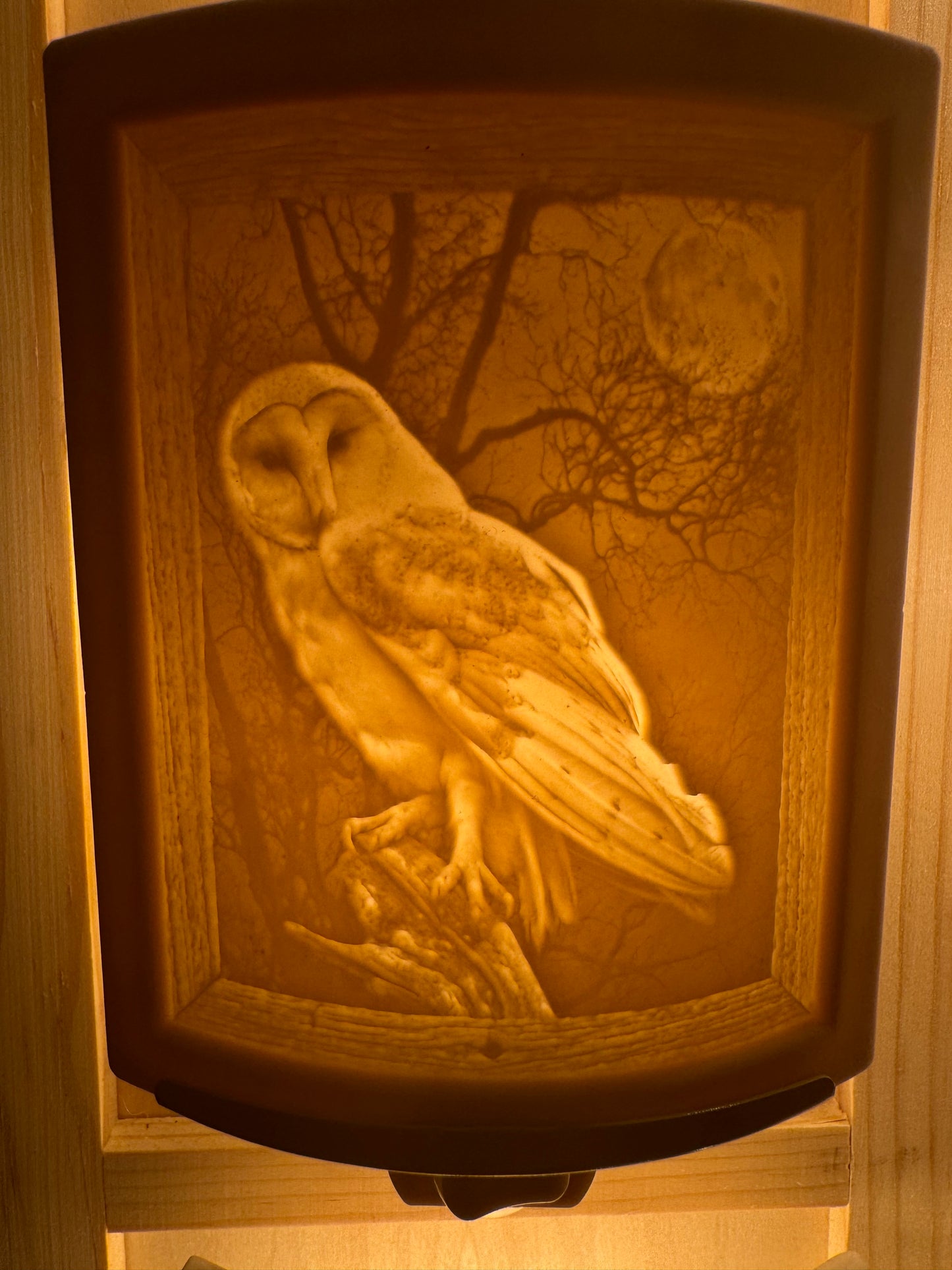 Porcelain Nightlights
