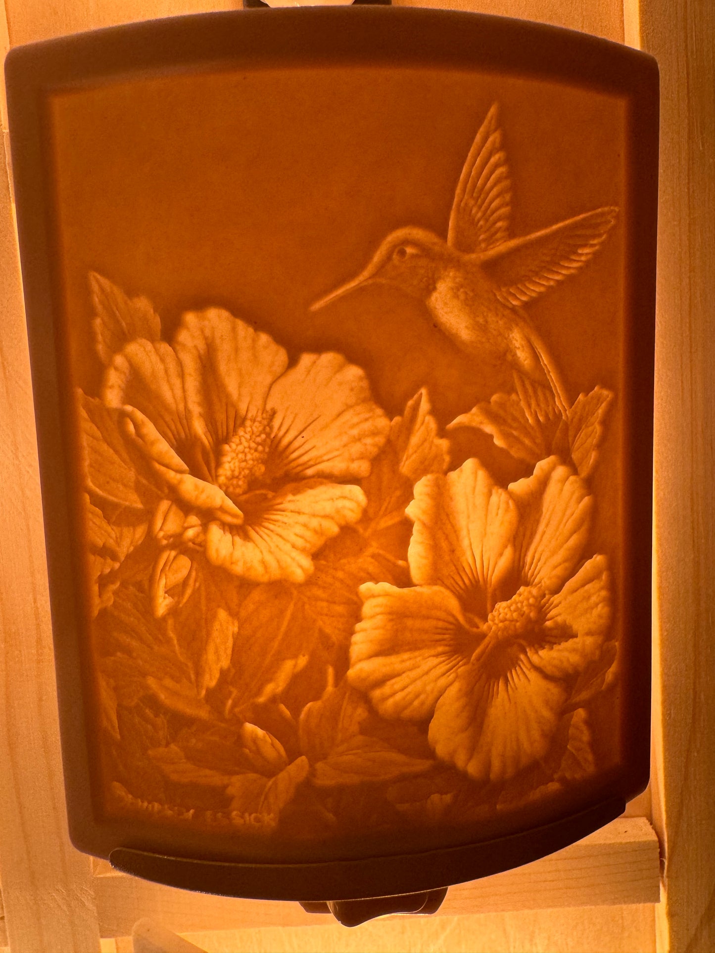Porcelain Nightlights