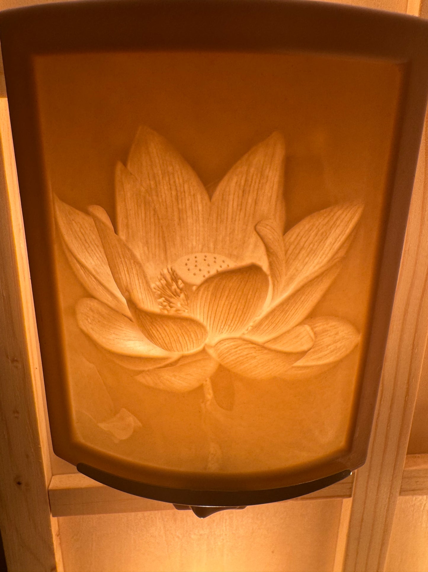 Porcelain Nightlights