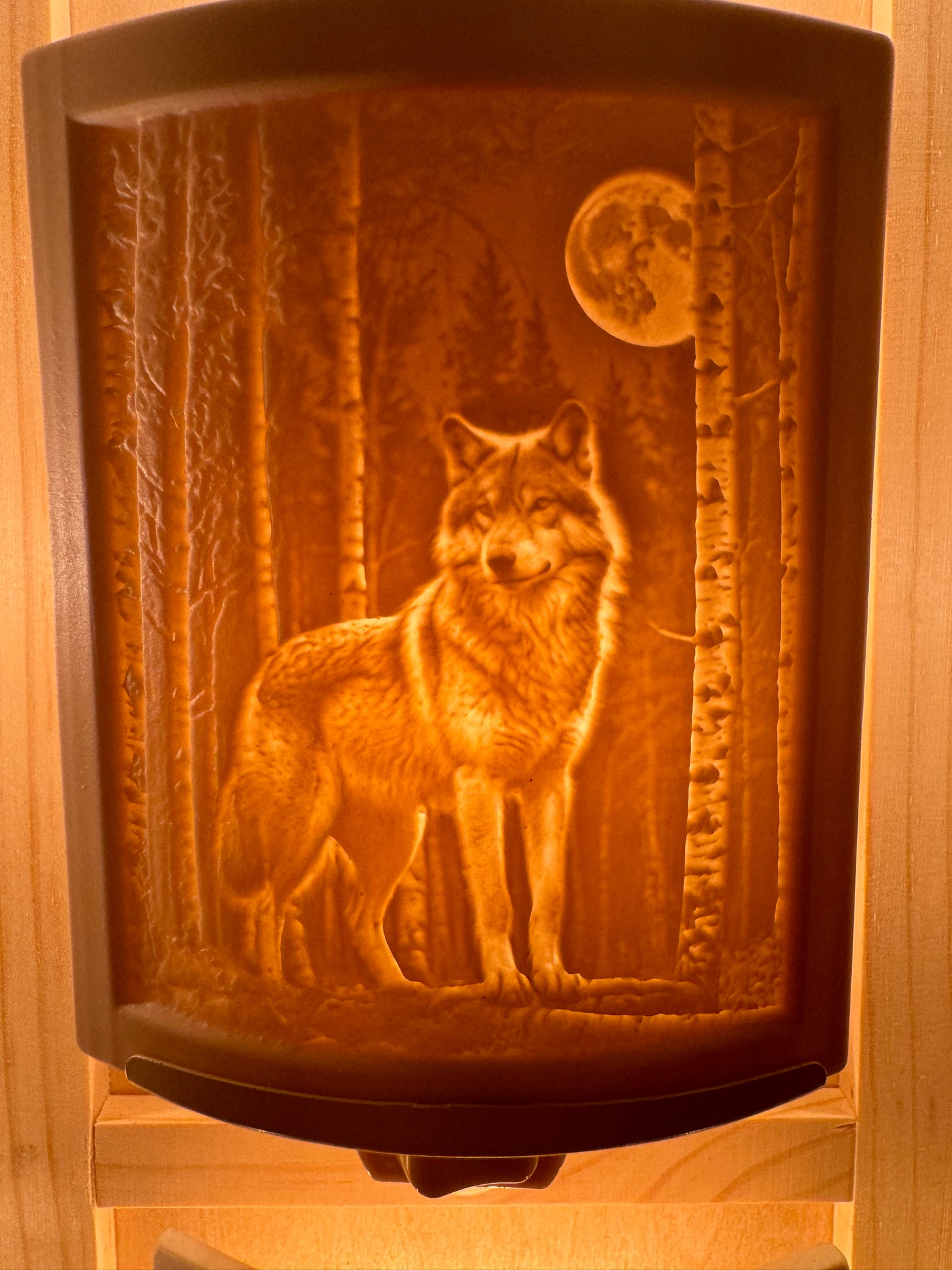 Porcelain Nightlights