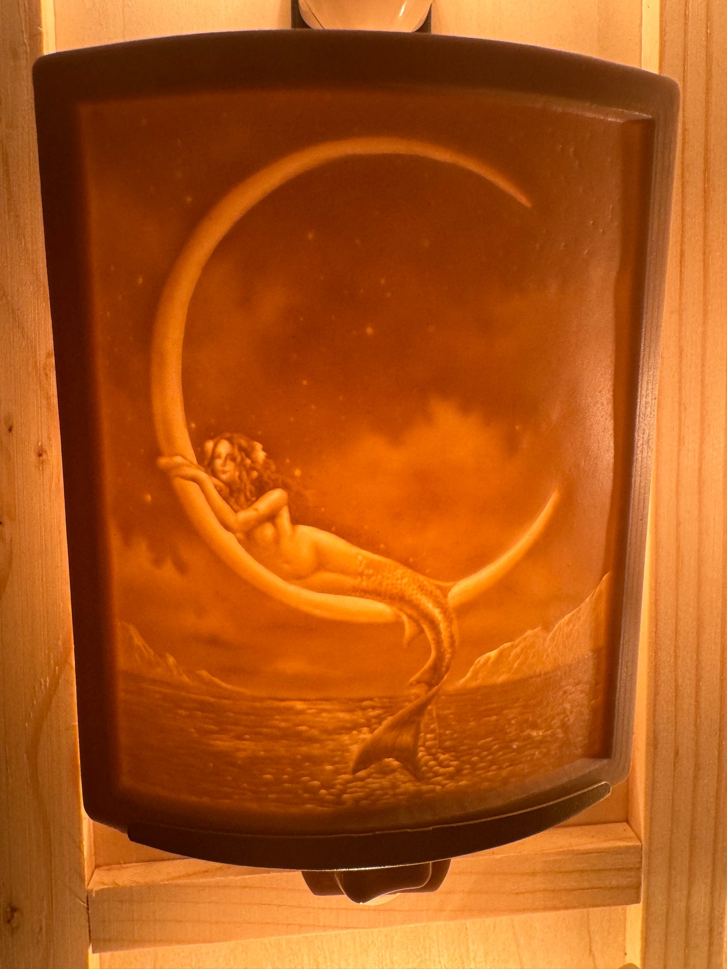 Porcelain Nightlights