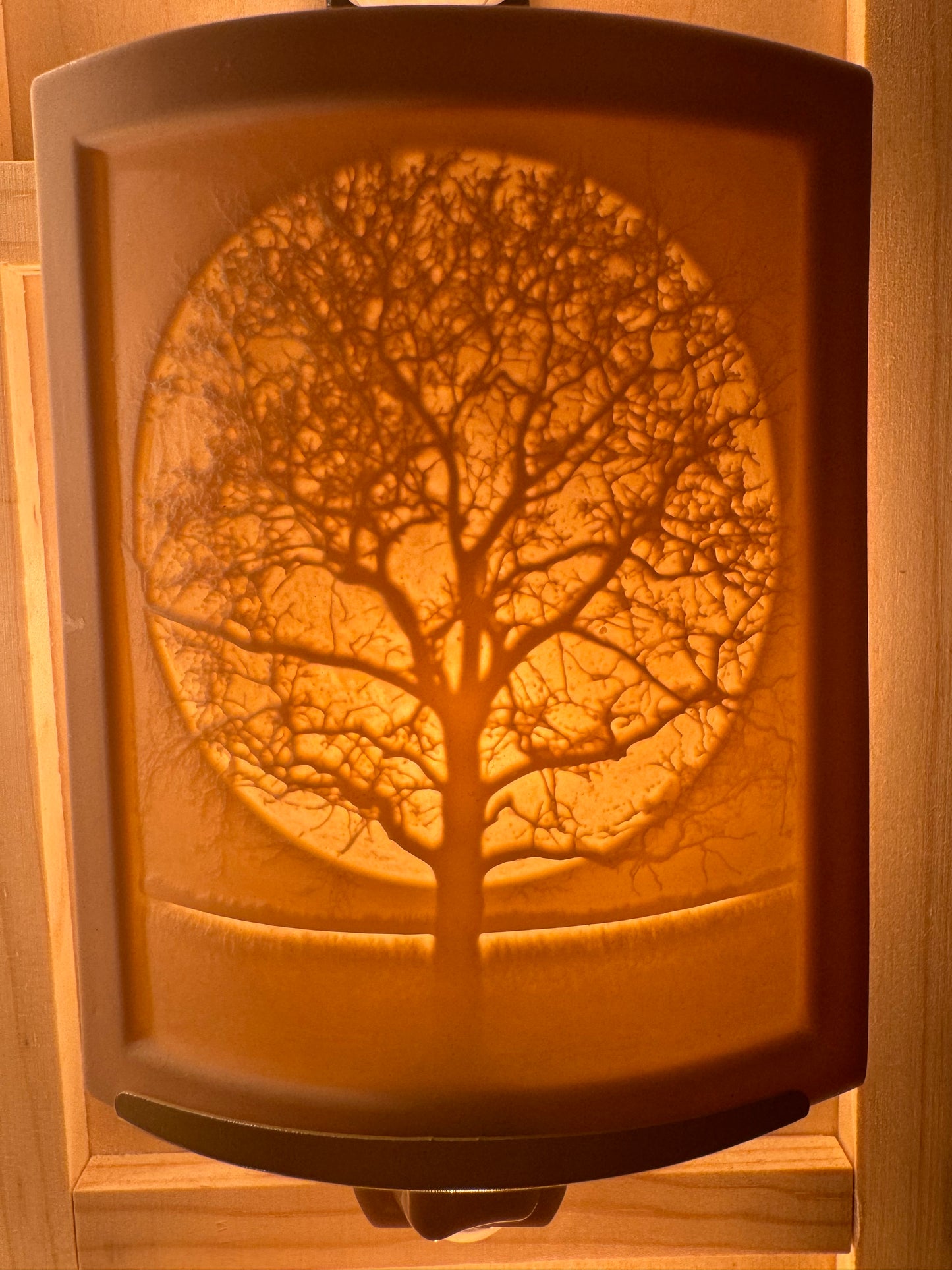 Porcelain Nightlights