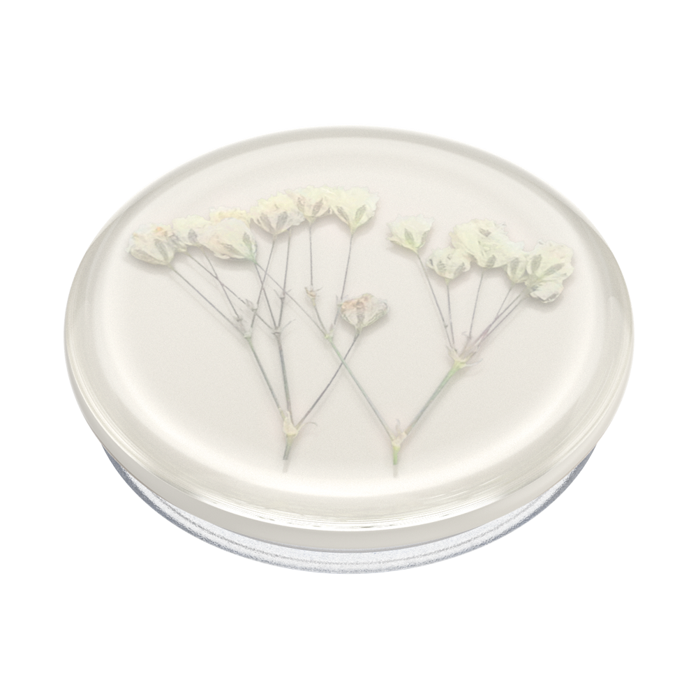 PopSockets Phone Grip - Pressed Flower Babys Breath