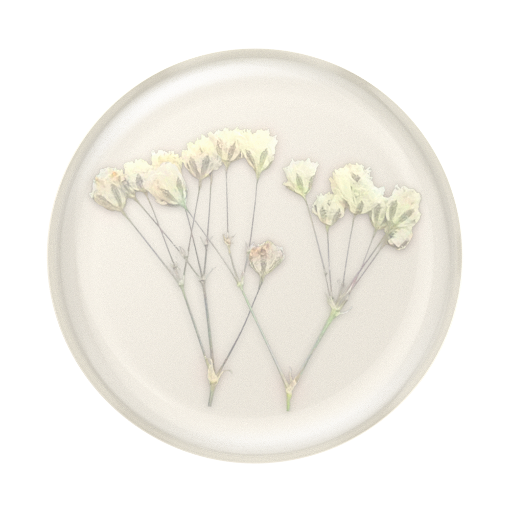 PopSockets Phone Grip - Pressed Flower Babys Breath