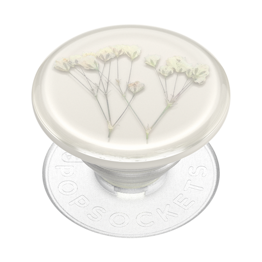 PopSockets Phone Grip - Pressed Flower Babys Breath